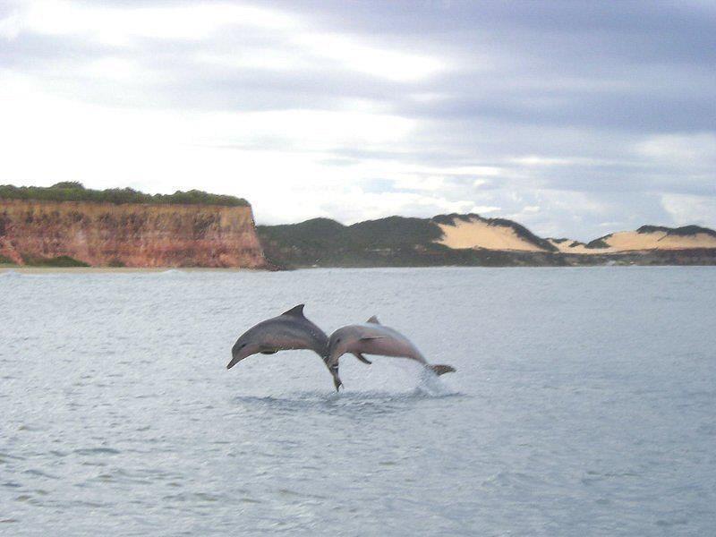 Pousada Da Pipa Praia de Pipa Экстерьер фото